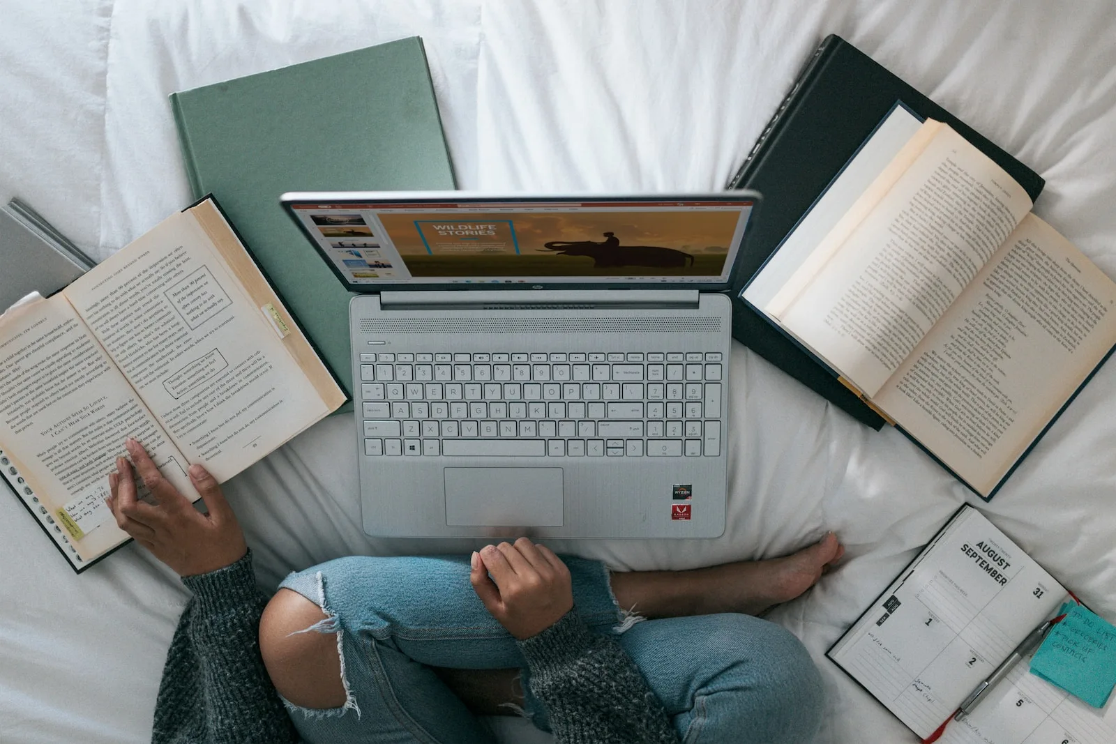 Formation : Apprendre le SEO gratuitement en ligne