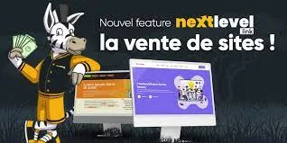 Comfortez votre Référencement avec NextLevel.Link